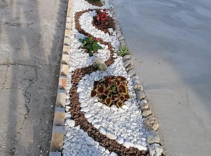 Montanari Ортона