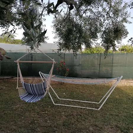 Apartment Montanari
