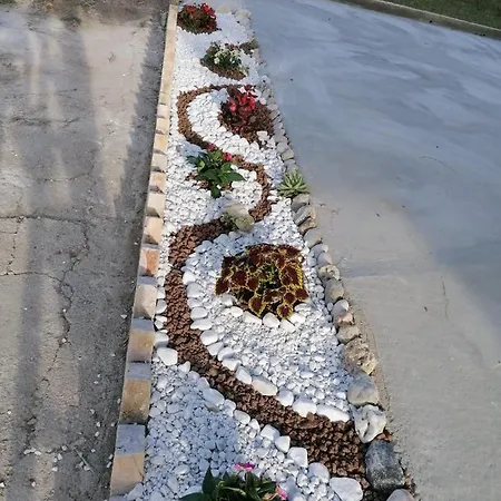 Montanari Ортона